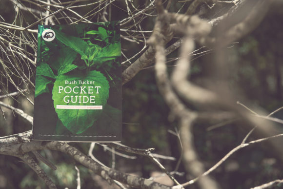 Bush Tucker Pocket Guide